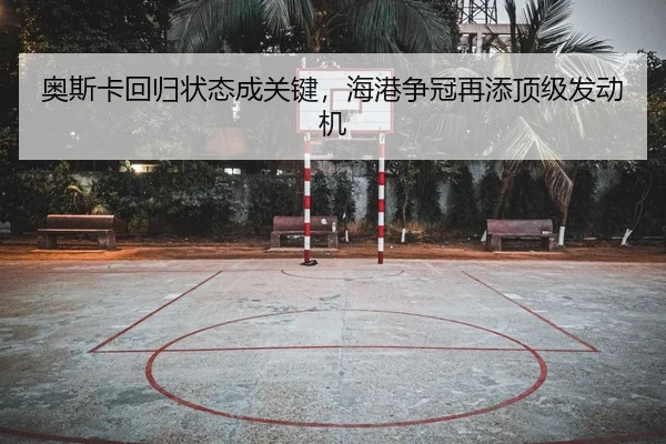 ao-si-ka-hui-gui-zhuang-tai-cheng-guan-jian-hai-gang-zheng-guan-zai-tian-ding-ji-fa-dong-ji-2-311.jpg